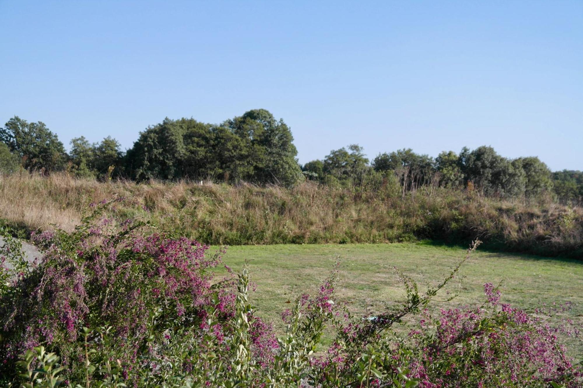 Maison de vacances idéale dans un environnement calme Commequiers Esterno foto