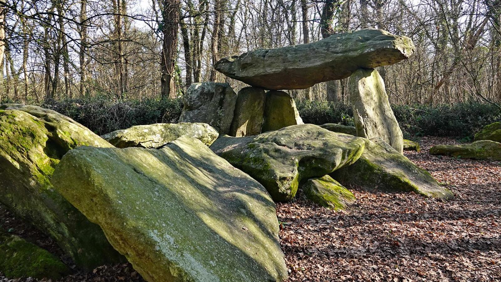 Maison de vacances idéale dans un environnement calme Commequiers Esterno foto
